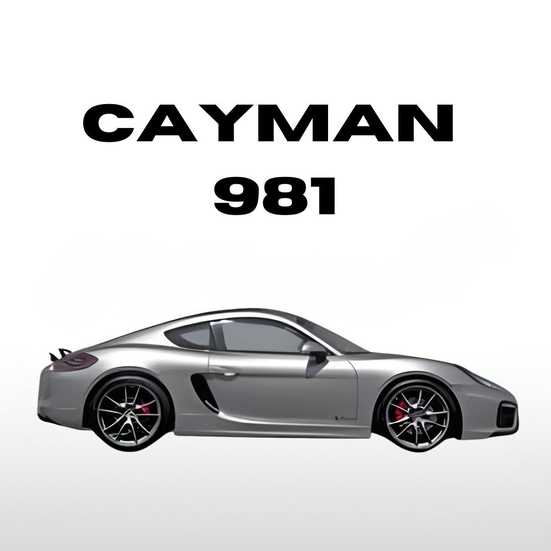 Cayman 981 (2012-Present)