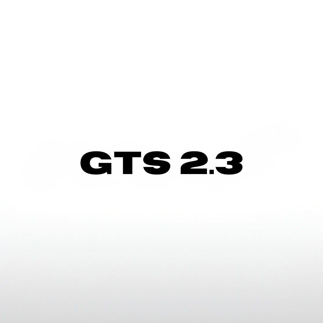 GTS 2.3