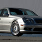 RENNtech | Multi-Spoke | Brushed | W211 | E-Class | F-19